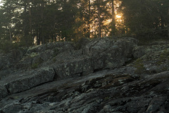 ladoga-111