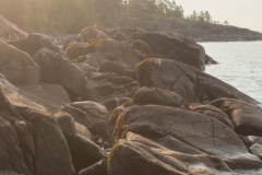 ladoga-128