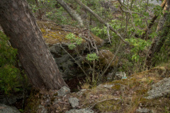 ladoga-143
