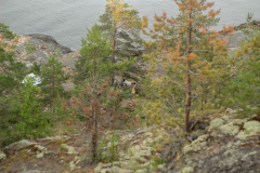 ladoga-16