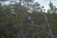 ladoga-217