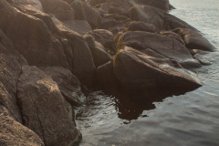 ladoga-226