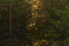 ladoga-228