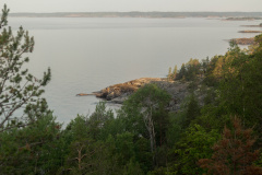 ladoga-250
