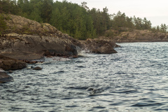 ladoga-256
