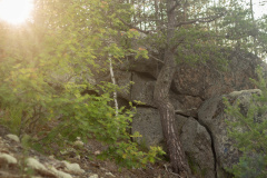 ladoga-264
