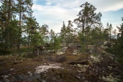 ladoga-291