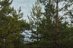 ladoga-306