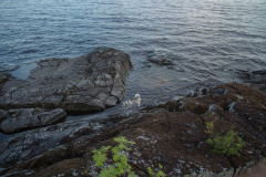 ladoga-31