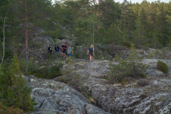 ladoga-310