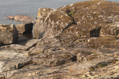 ladoga-322
