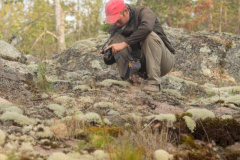 ladoga-325