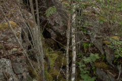 ladoga-326