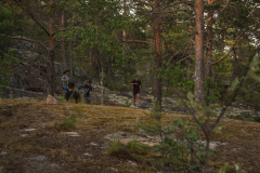 ladoga-333
