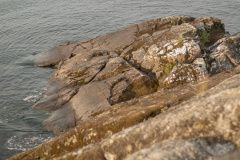 ladoga-95